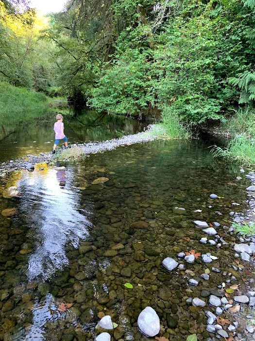 RV Outdoor Adventures & Cabins Picture 3