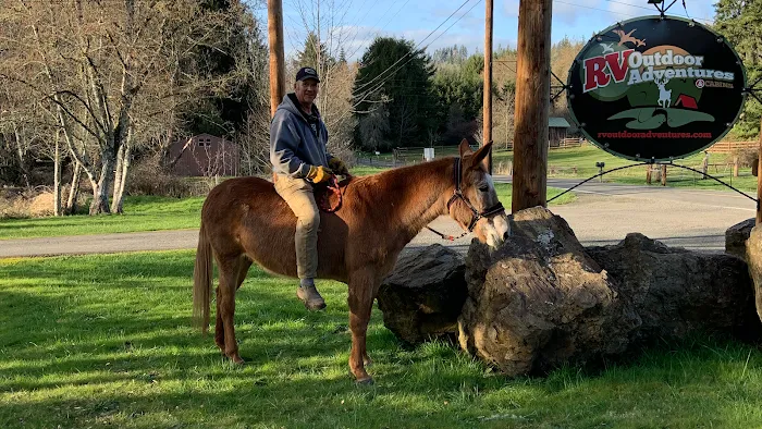 RV Outdoor Adventures & Cabins Picture 10