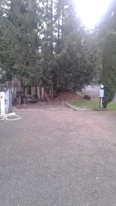 Cedar's RV Park Picture 5