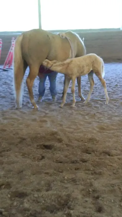 Cedar's RV Park Picture 3