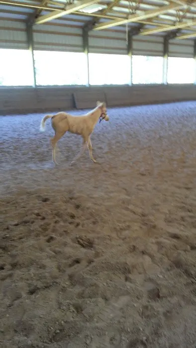 Cedar's RV Park Picture 7