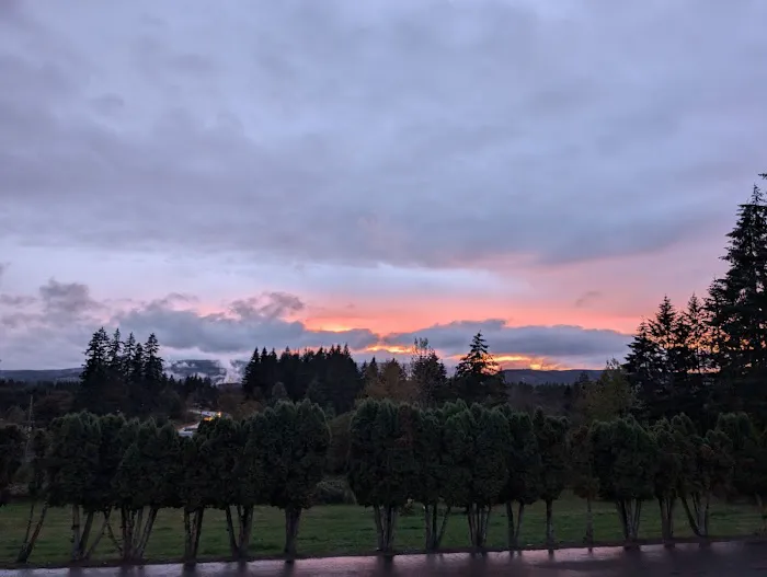 Mt St. Helens RV Park Picture 2