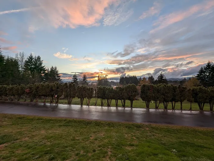 Mt St. Helens RV Park Picture 4