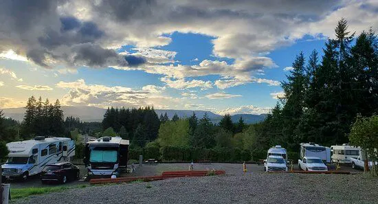 Mt St. Helens RV Park Picture 10