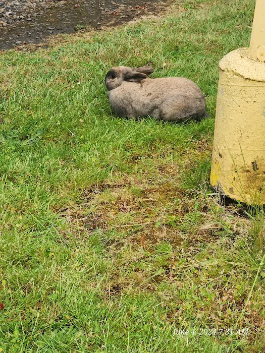 Woodburn West Mobile Estates Picture 4