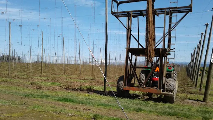 Shalimar Estates Picture 2