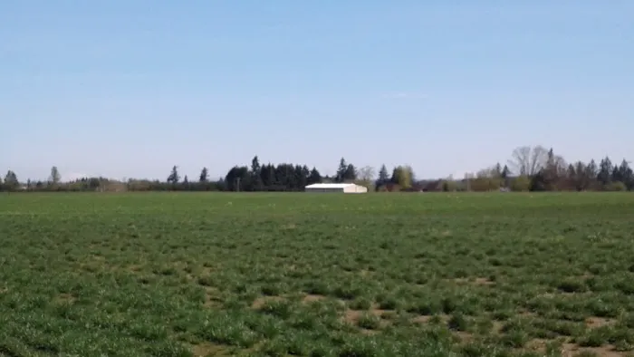 Shalimar Estates Picture 1