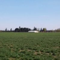 Shalimar Estates ico