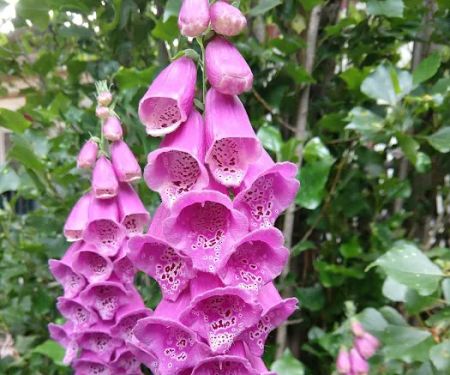 Parr Acres A Manufactured Home Community