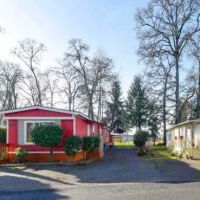 Belle Passi Estates ico