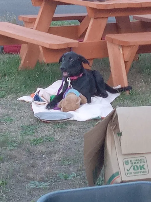 Westport Villas II MHP Picture 1