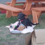 Westport Villas II MHP