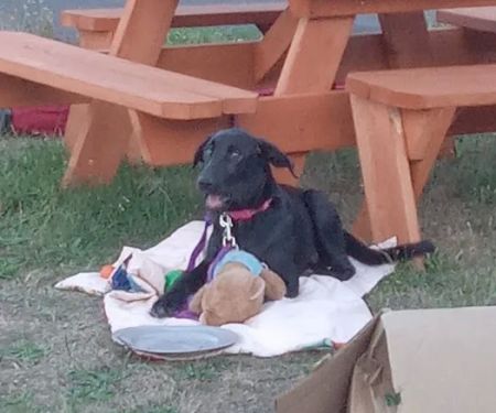 Westport Villas II MHP