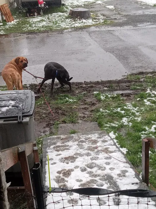 Westport Villas II MHP Picture 3