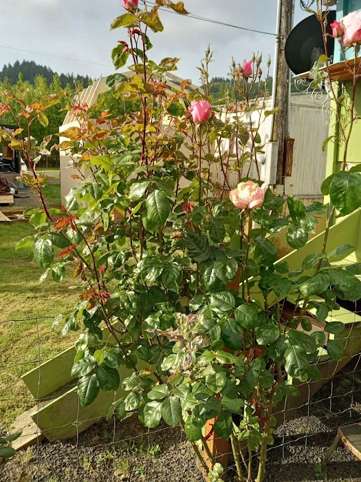 Westport Villas II MHP Picture 4