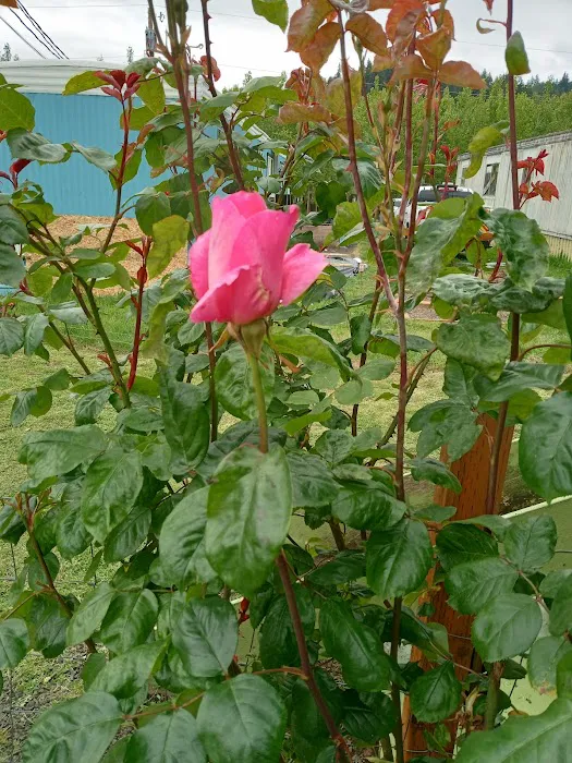 Westport Villas II MHP Picture 10