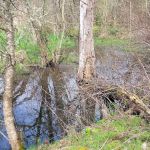 Robins Nest Motor Court