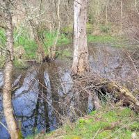 Robins Nest Motor Court ico