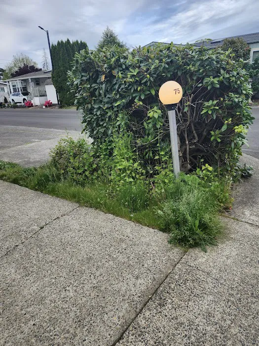 Angel Haven Mobile Home Park Picture 1