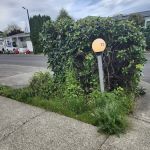 Angel Haven Mobile Home Park