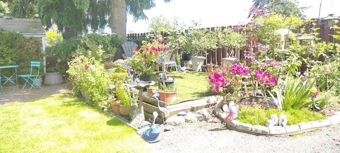 Angel Haven Mobile Home Park Picture 7