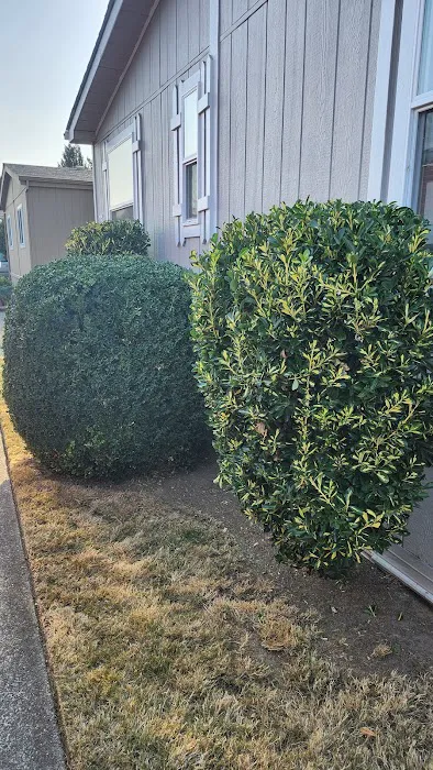 Angel Haven Mobile Home Park Picture 6