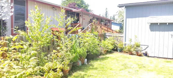 Angel Haven Mobile Home Park Picture 9