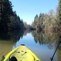 Royal Mobile Villas ico