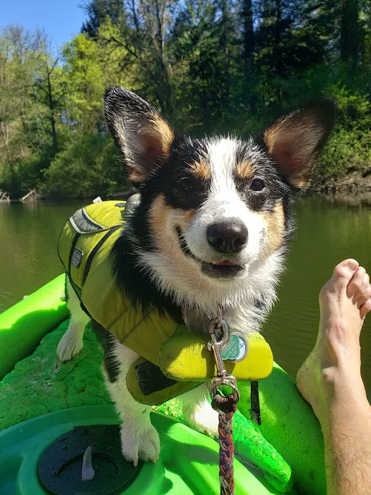 Royal Mobile Villas Picture 4