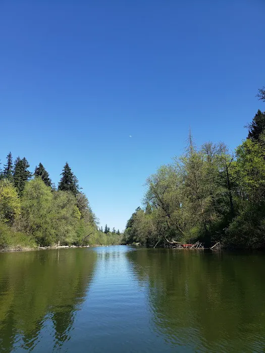 Royal Mobile Villas Picture 2