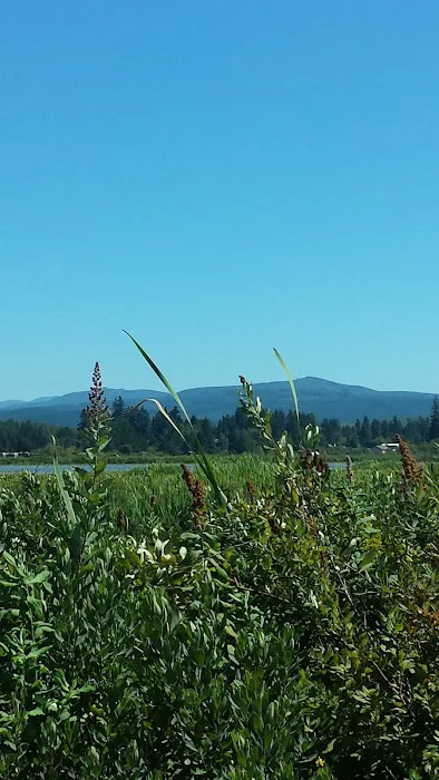 Silver Lake RV Park Inc Picture 3