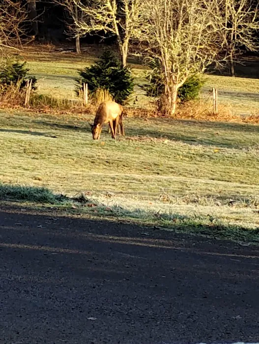 Silver Lake RV Park Inc Picture 5