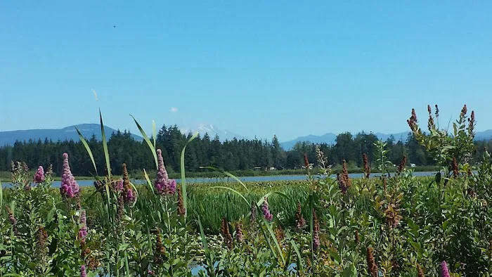 Silver Lake RV Park Inc Picture 4