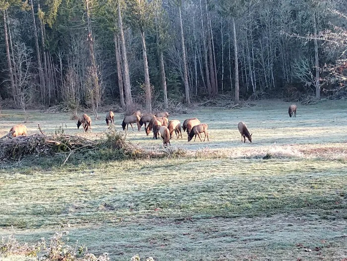 Silver Lake RV Park Inc Picture 9