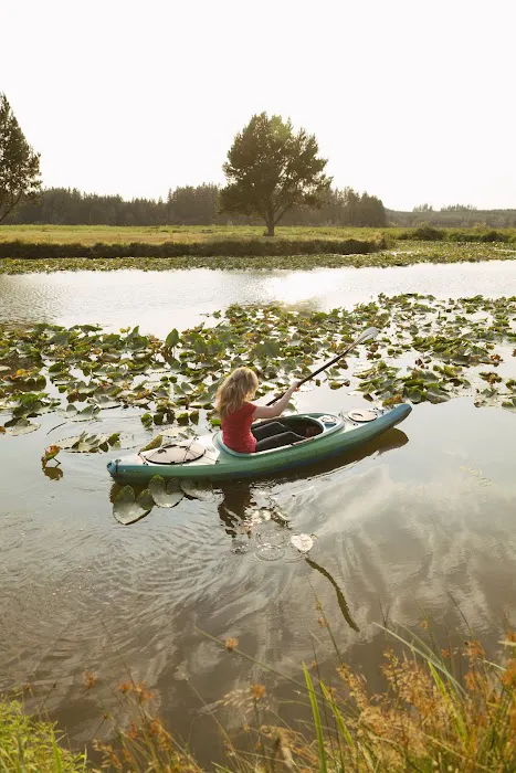 Silver Cove RV Resort Picture 7