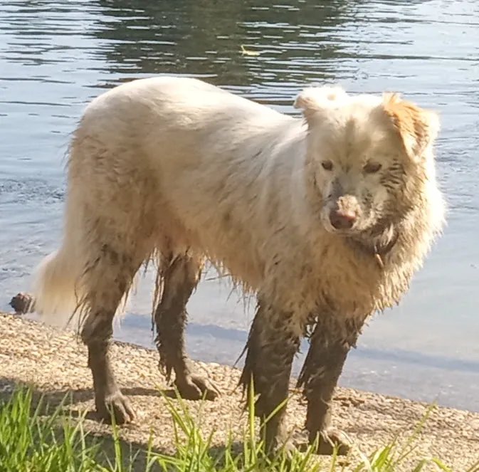 River Oaks RV Park-Campground Picture 1