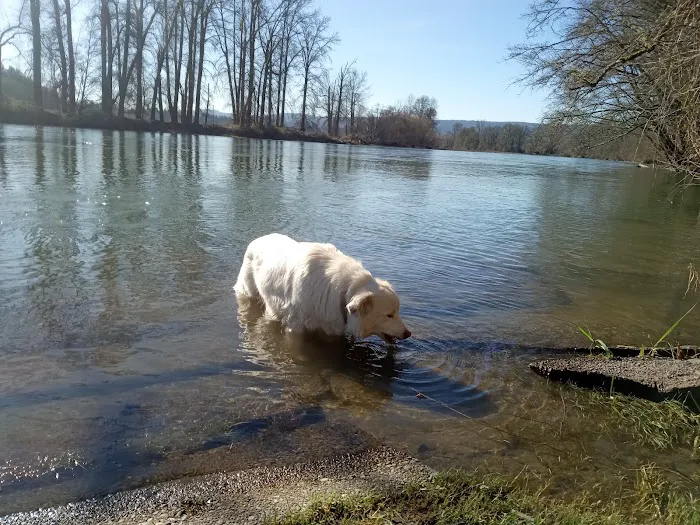 River Oaks RV Park-Campground Picture 2
