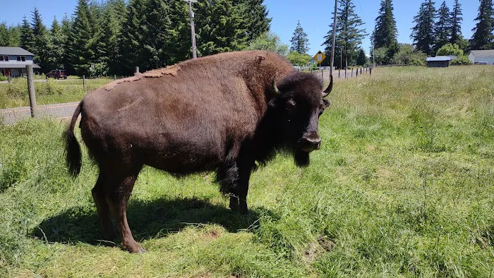 River Oaks RV Park-Campground Picture 5