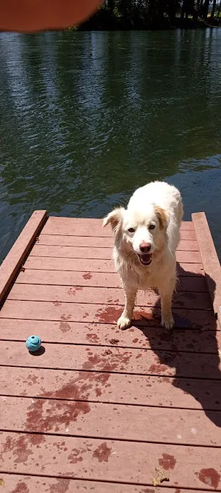 River Oaks RV Park-Campground Picture 6