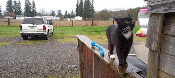 River Oaks RV Park-Campground Picture 7