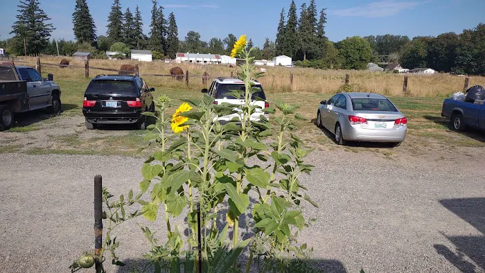 River Oaks RV Park-Campground Picture 9