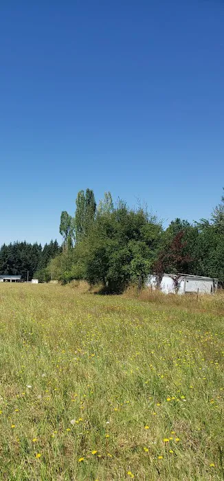 Vista Mobile Estate Mobile Home Park Picture 1