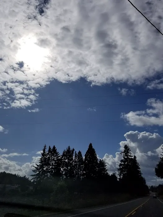 Chaparral Mobile Ranch Picture 3