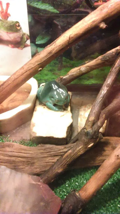 Chaparral Mobile Ranch Picture 5