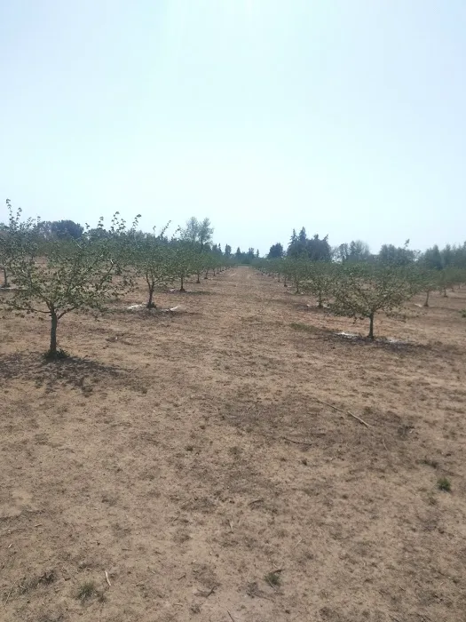 Chaparral Mobile Ranch Picture 6