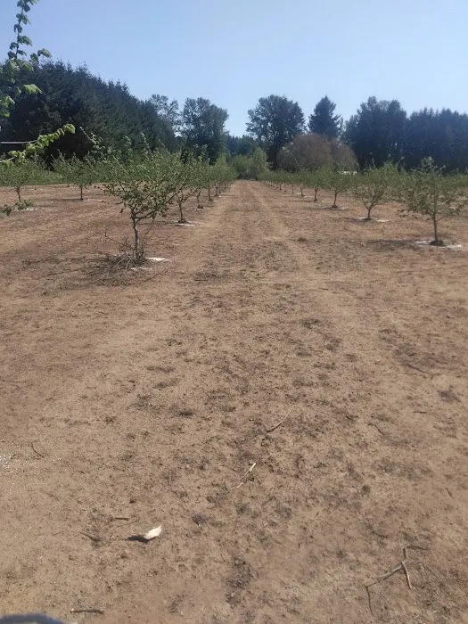 Chaparral Mobile Ranch Picture 7