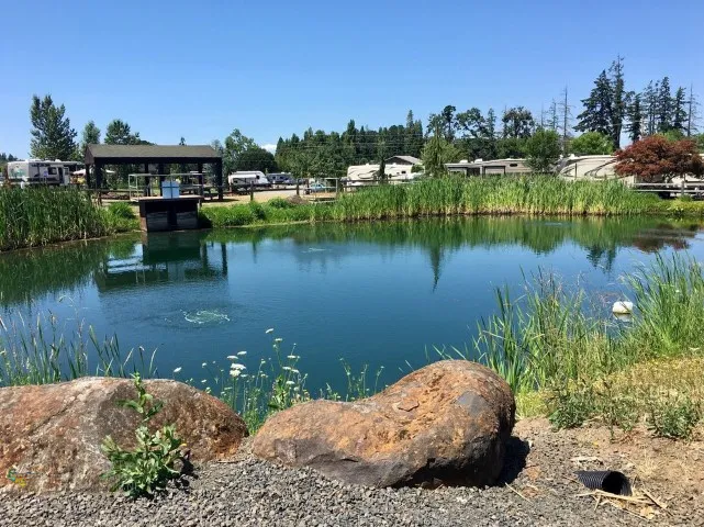 Silver Spur RV Park Picture 7