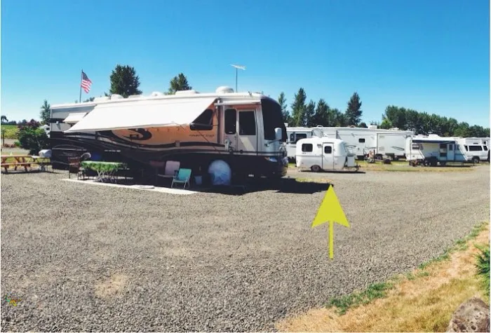 Silver Spur RV Park Picture 9