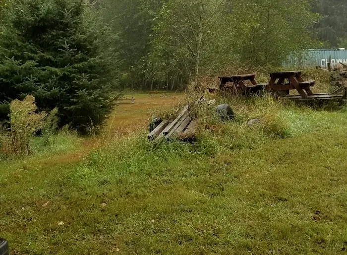 Klaskanine River RV Park Picture 9