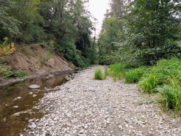 Klaskanine River RV Park Picture 10